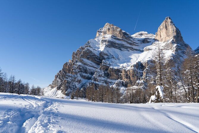 guided-snowshoeing-day-to-discover-the-dolomites