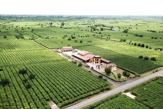 guided-tour-and-wine-tasting-in-the-sandro-de-bruno-winery