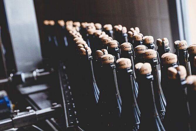 guided-tour-cleto-chiarli-with-lambrusco-tasting-2
