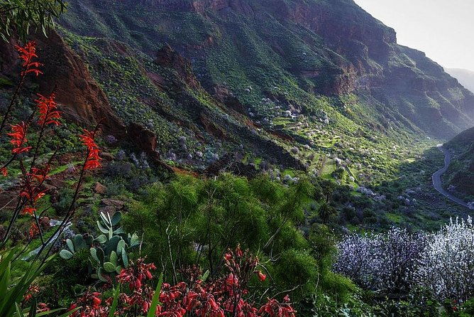 guided-tour-discover-gran-canaria