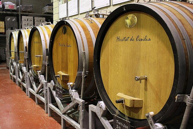 guided-tour-of-an-old-winery-with-tasting-from-alicante-and-elche