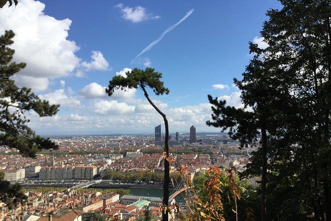 guided-tour-of-the-basilica-of-fourviere-and-gallo-roman-site-of-lyon