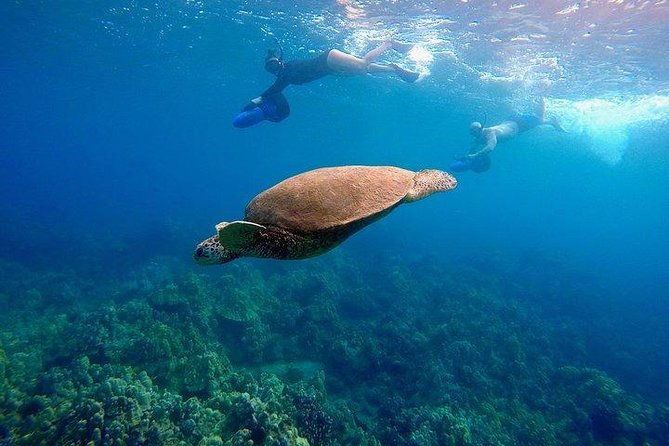 guided-turtle-town-snorkel-tour-with-sea-scooter-makena