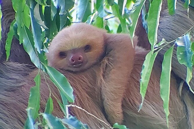 guided-visit-to-manuel-antonio-national-park