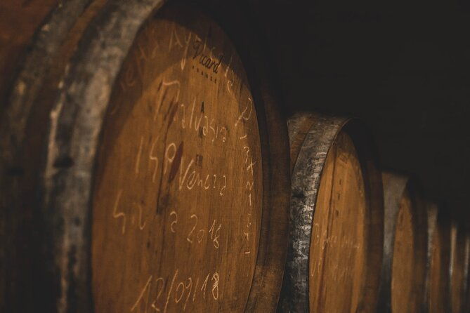 guided-visit-to-the-vineyard-with-wine-tasting
