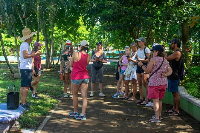 guided-walking-street-art-graffiti-tour-in-jaco-costa-rica