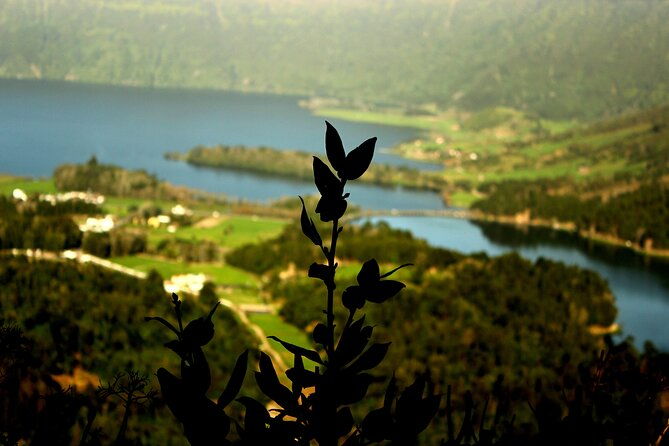 half-day-4x4-tour-to-lagoa-das-sete-cidades