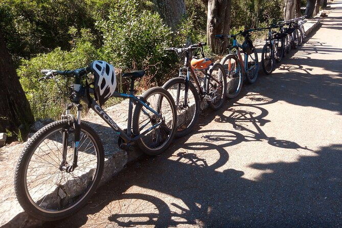 half-day-bike-tour-in-lumbarda-with-wine-tasting-2