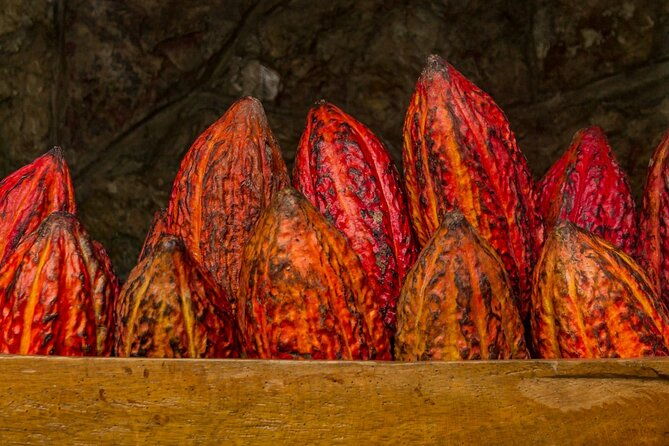 half-day-bliss-cacao-farm-adventure-guayaquil-city-highlights