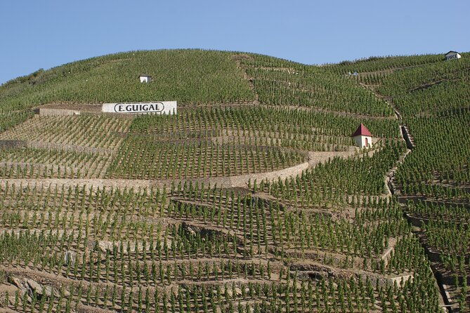 half-day-cotes-du-rhone-private-wine-tour-from-lyon