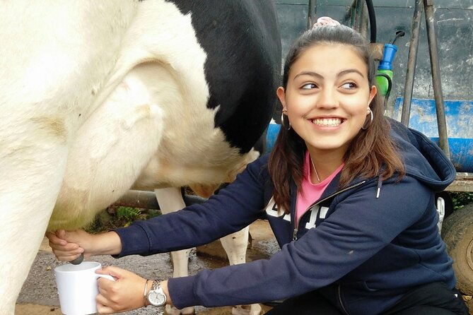 half-day-farm-visit-and-cow-milking-experience