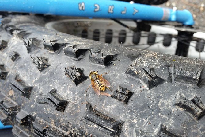 half-day-fatbike-tour-wicklow-ballinastoe