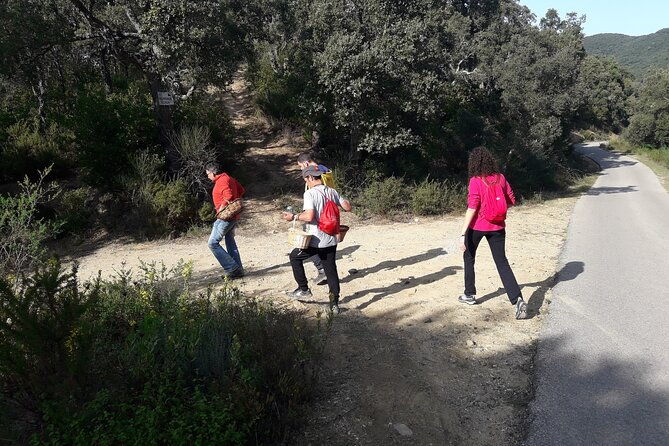 half-day-gastronomic-wild-walk-in-girona-3
