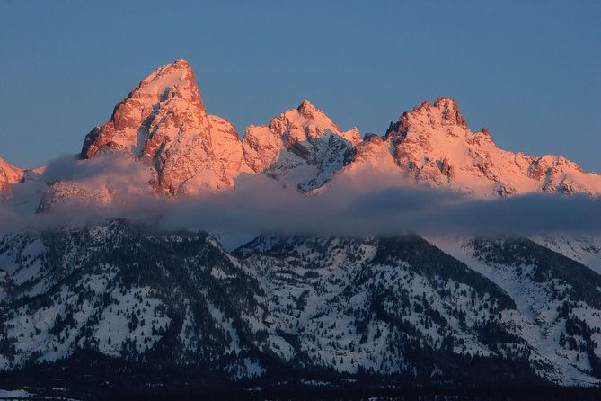 half-day-grand-teton-wildlife-private-safari-tour