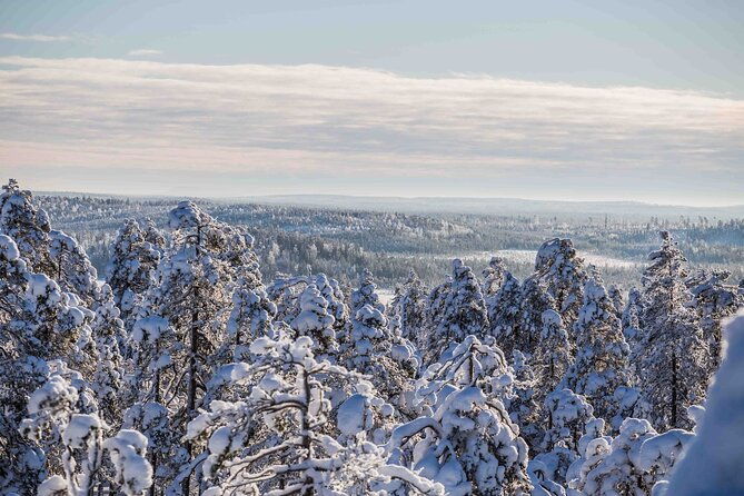 half-day-guided-tour-in-the-wilderness-of-levi