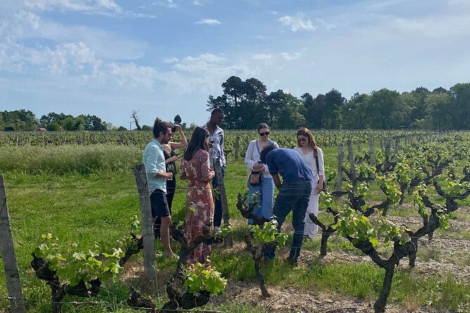 half-day-guided-wine-tasting-tour-in-bordeaux-vineyards-3