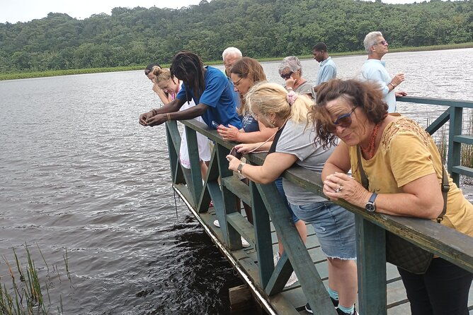 half-day-hawaiian-leis-chocolate-waterfalls-beach-tour