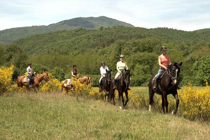 half-day-horseback-ride-in-tuscany