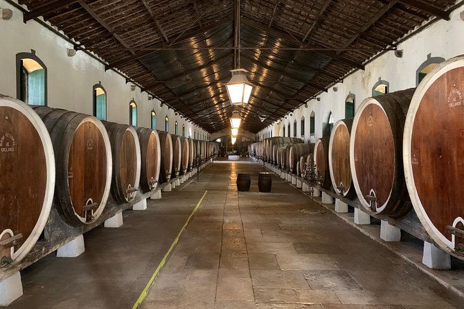 half-day-in-sintra-and-cabo-da-roca-with-wine-tasting