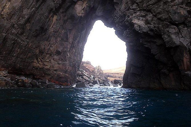 half-day-kayak-tours