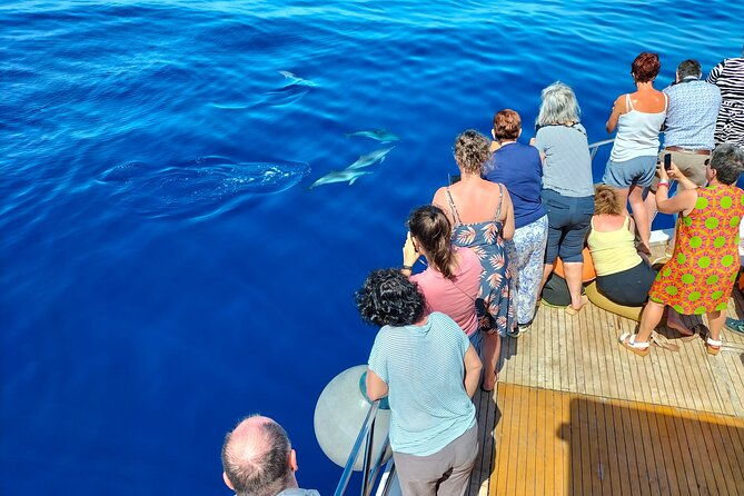 half-day-madeira-island-cruise-with-lunch