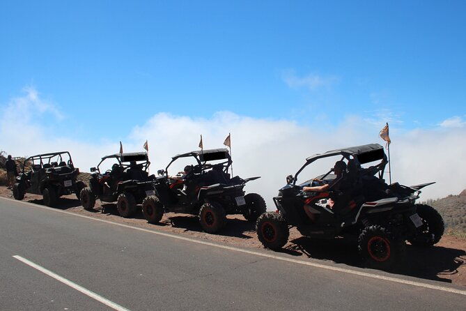 half-day-morning-buggy-tour-in-teide-national-park