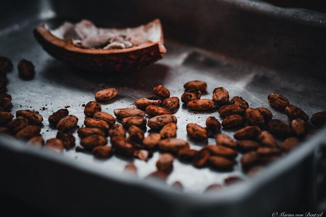 half-day-of-cooking-and-chocolate-at-cocoa-farm-from-guayaquil