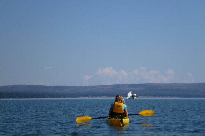 half-day-paddle-on-yellowstone-lake
