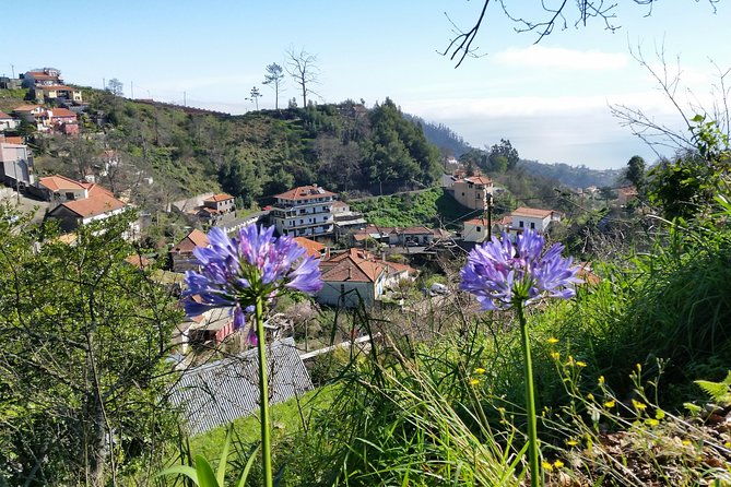 half-day-paradise-valley-walking-tour