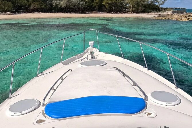 half-day-private-luxury-rose-island-tour-with-snorkeling-and-pigs