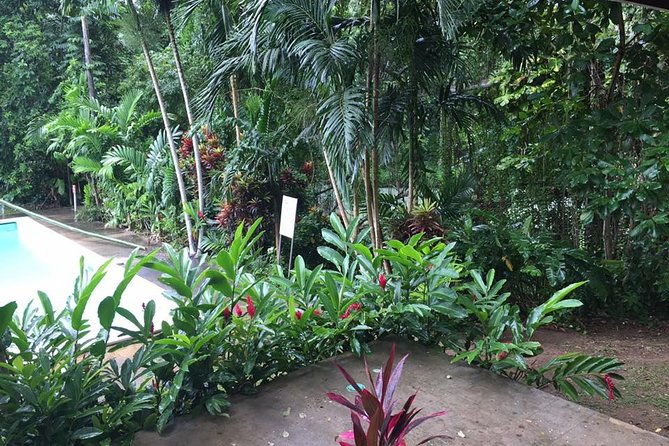 half-day-private-martha-brae-rafting-tour-from-montego-bay