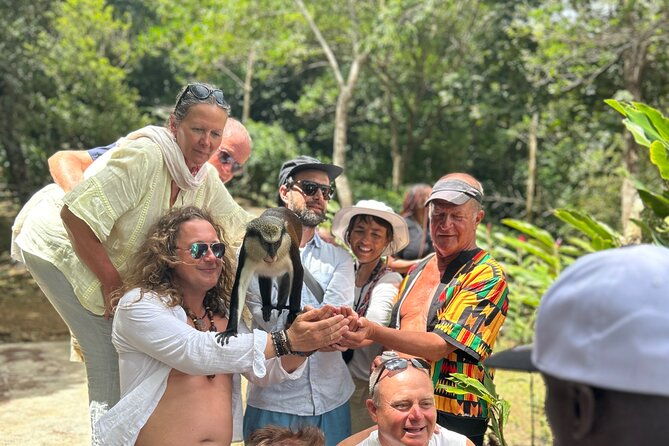 half-day-private-tour-in-grenada