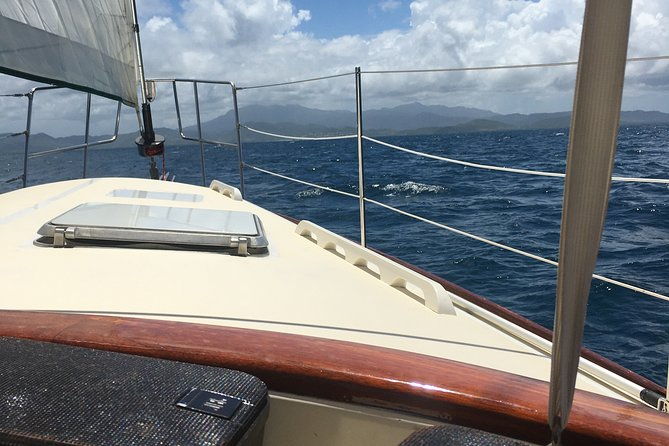 half-day-sail-and-snorkel-with-the-turtles