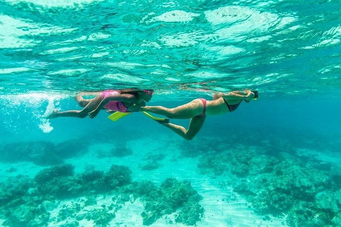 half-day-snorkel-sail-tour-with-caribbean-lunch