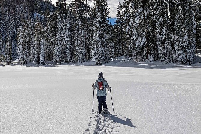 half-day-snowshoe-hike-in-tahoe-national-forest-2