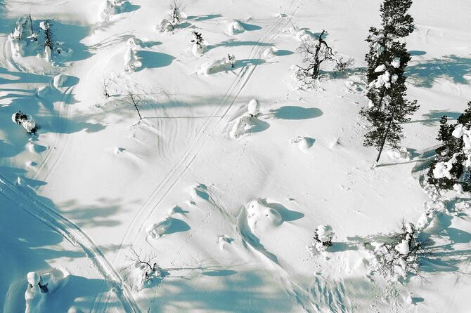 half-day-snowshoe-hiking-adventure-in-levi-lapland