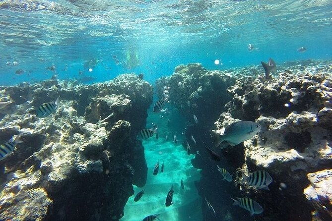 half-day-sosua-sunset-cruise-with-snorkeling