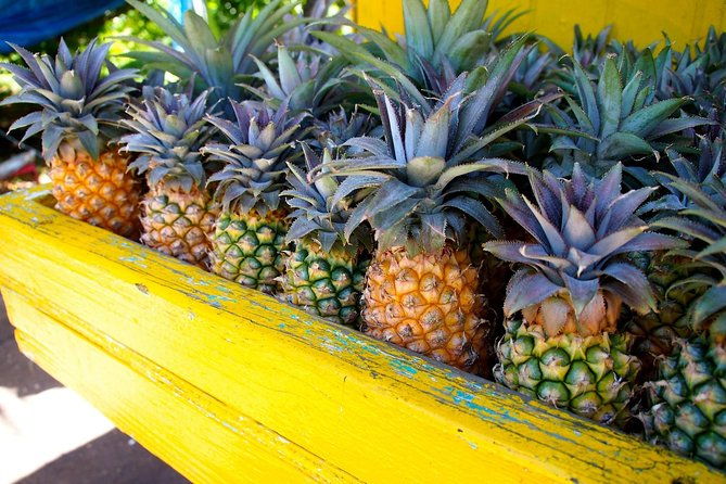 half-day-tour-a-taste-of-paradise-and-history-of-antigua