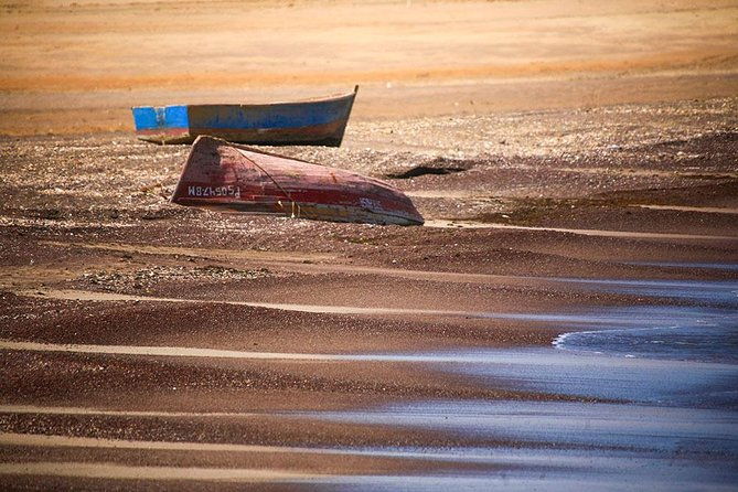 half-day-tour-of-paracas-national-reserve-from-san-martin-port