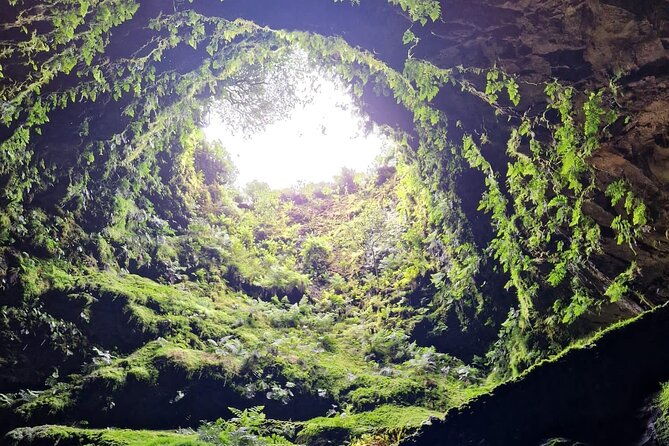 half-day-tour-to-the-caves