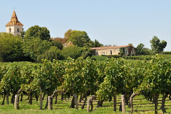 half-day-wine-tour-across-bordeauxs-vineyards
