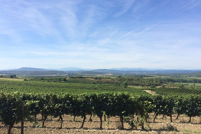 half-day-wine-tour-private-tour-from-carcassonne-and-around