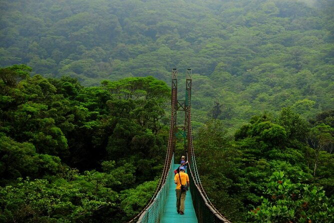 hanging-bridges-guided-walk
