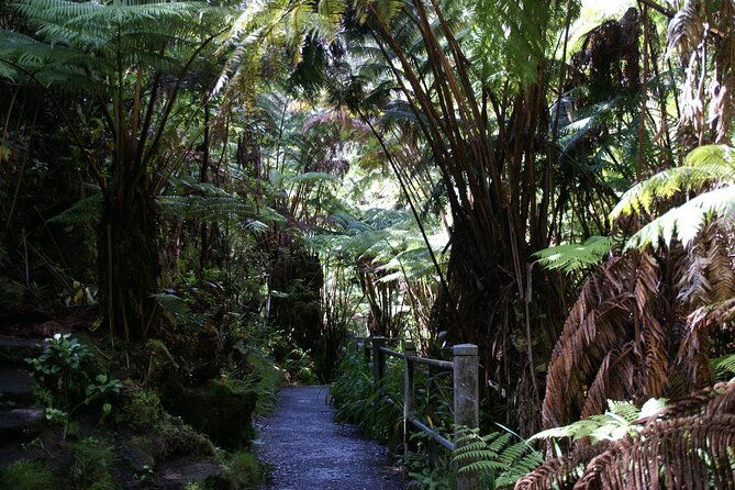 hawaii-volcanoes-national-park-experience-from-oahu-3