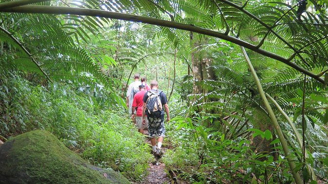 hawaiian-waterfall-hike-2