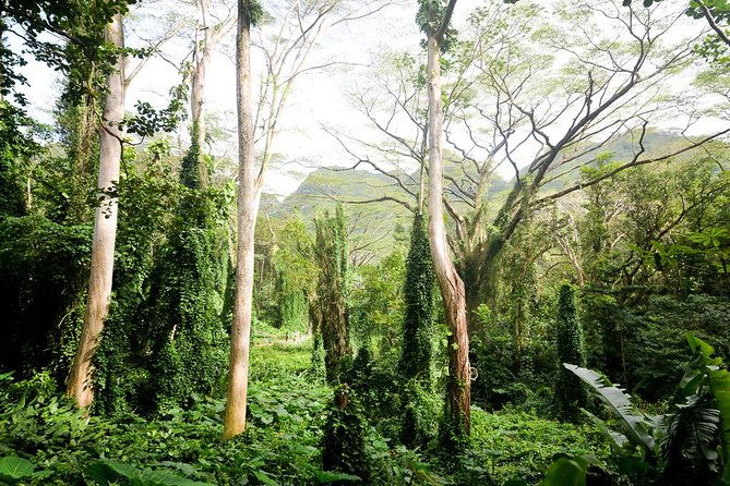 hawaiian-waterfall-hike