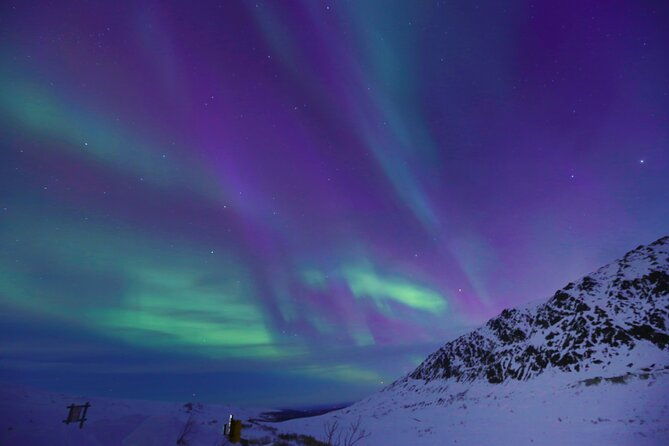 heated-and-enclosed-atv-tour-in-alaska-open-all-year-round-2