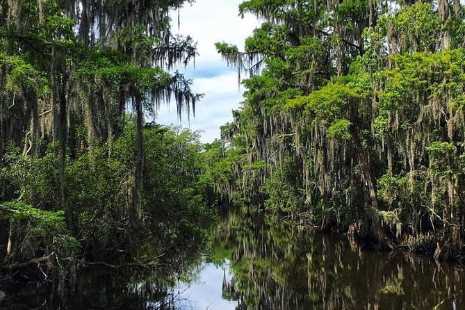 highlights-of-new-orleans-city-and-swamp-tour-combination