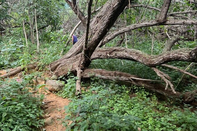 hike-goto-flamingo-meer-trail-explore-north-bonaire