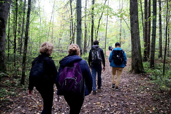 hike-in-gauja-national-park-up-and-down-the-switzerland-of-latvia
